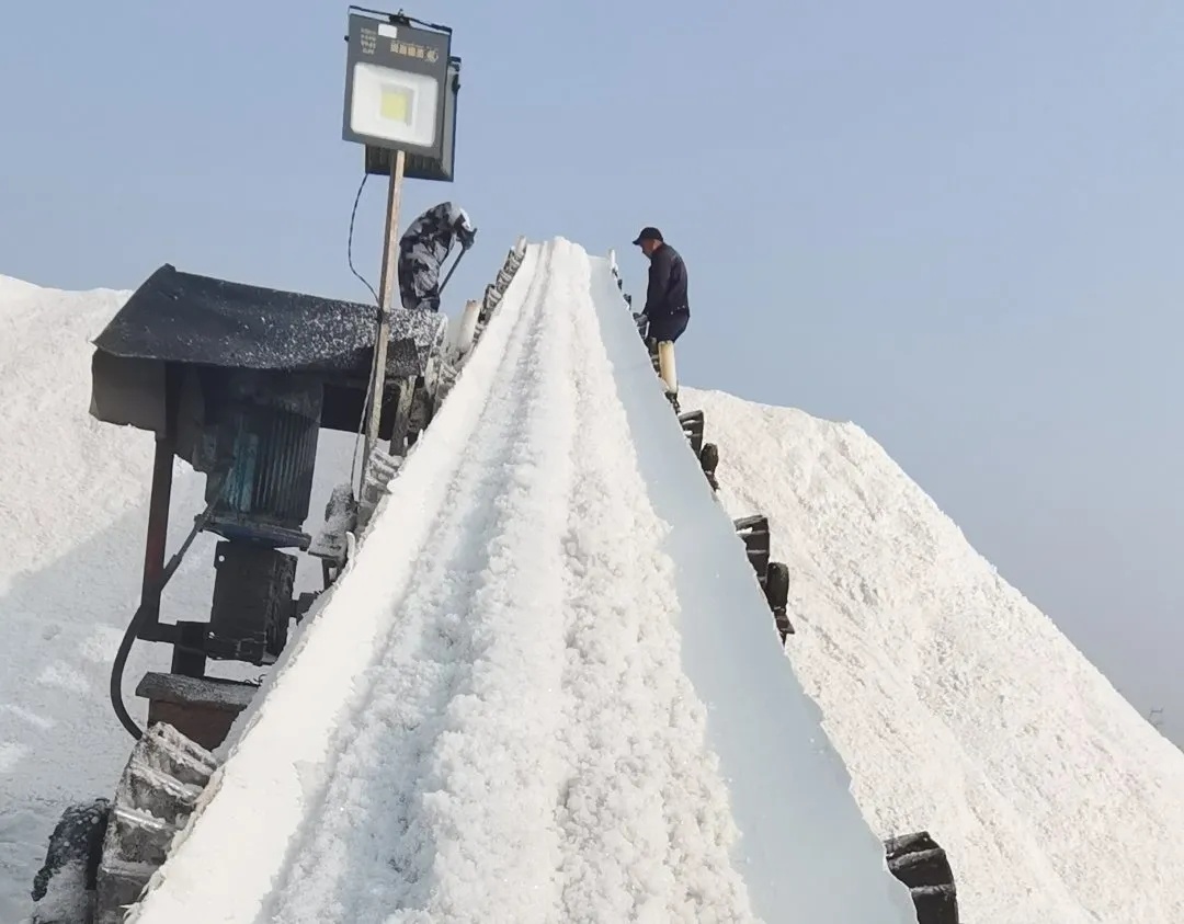 寒亭一鹽場：開年第一撈，築起“銀山”啓新程