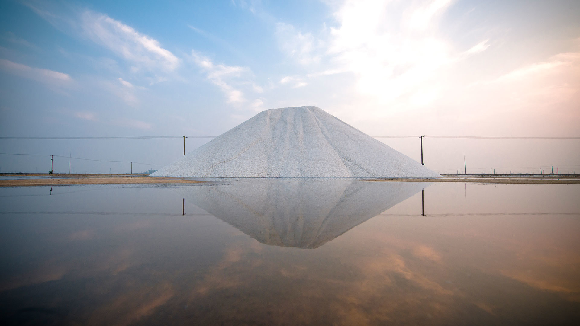 山東省省級食鹽專營企業